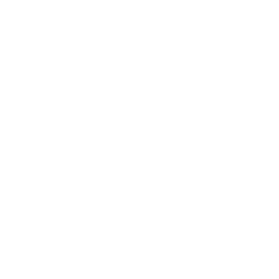 ce logo Lees Summit
